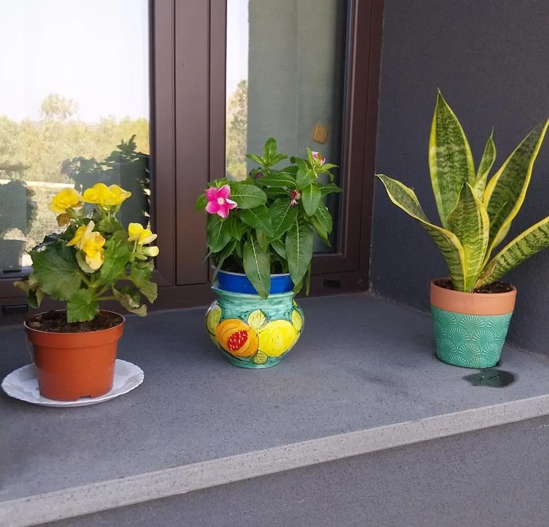 Il Calice Dell'Etna Villa Passopisciaro Holiday home